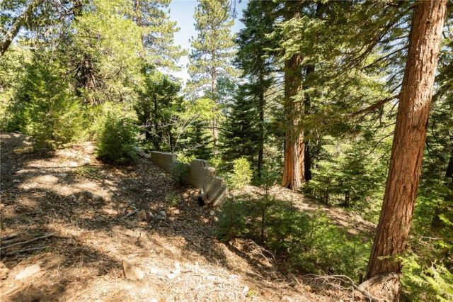 746 Blue Ridge, Lake Arrowhead, CA 92385