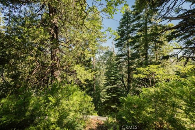 746 Blue Ridge, Lake Arrowhead, CA 92385
