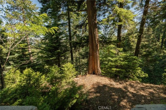 746 Blue Ridge, Lake Arrowhead, CA 92385