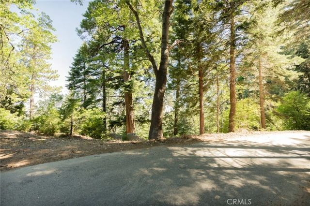746 Blue Ridge, Lake Arrowhead, CA 92385