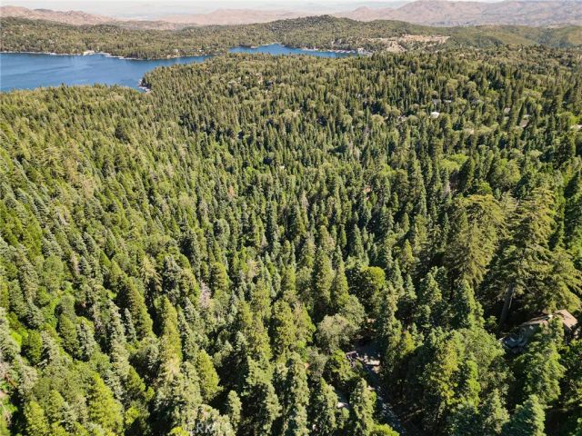 746 Blue Ridge, Lake Arrowhead, CA 92385