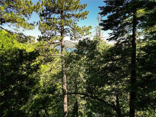 746 Blue Ridge, Lake Arrowhead, CA 92385