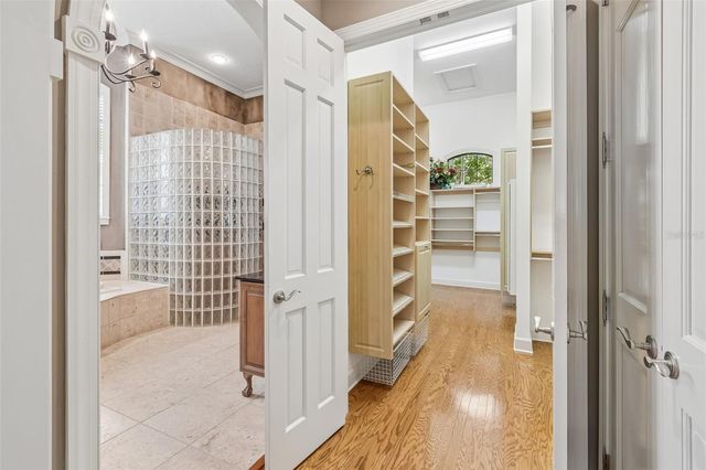 702 BERROCALES DE AVILA, Tampa, FL 33613