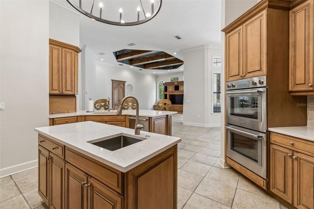 702 BERROCALES DE AVILA, Tampa, FL 33613