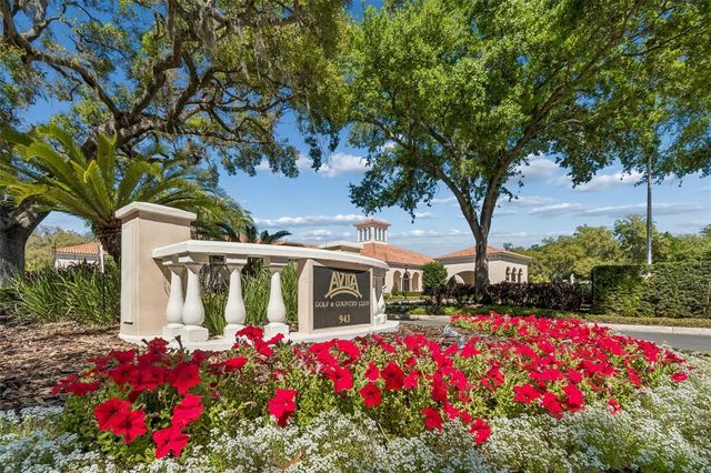 702 BERROCALES DE AVILA, Tampa, FL 33613