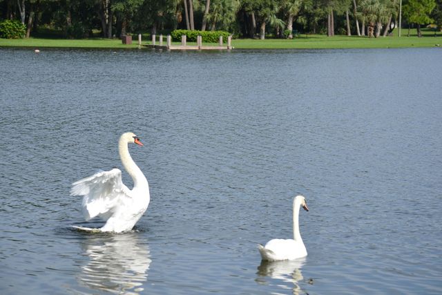 3129 Millwood Terrace 1380, Boca Raton, FL 33431