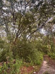 NE 30TH PLACE, Williston, FL 32696