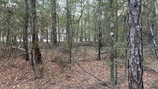 0 Stagecoach Circle, Huntsville, TX 77340