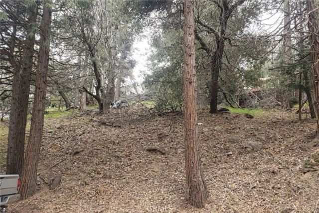 0 Basel Dr, Crestline, CA 92325