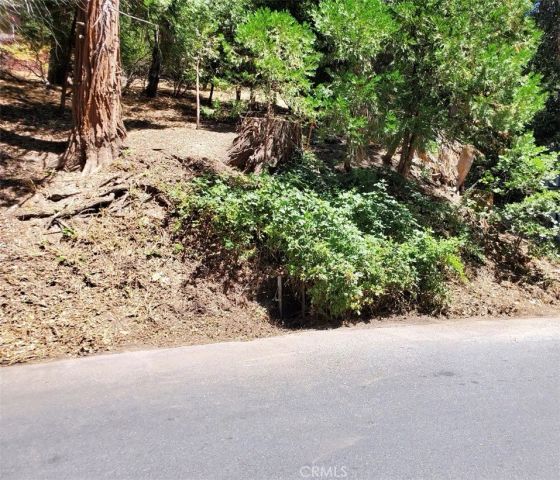 0 Basel Dr, Crestline, CA 92325