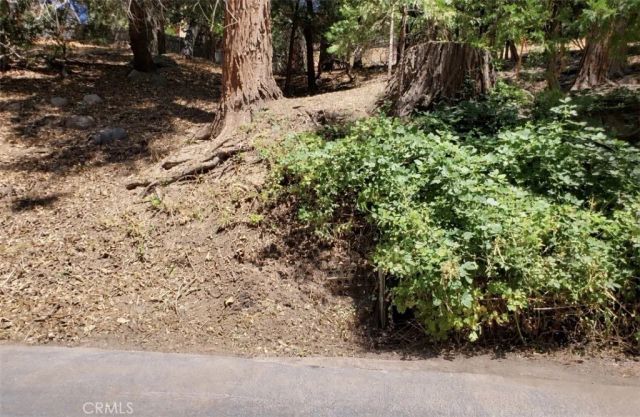 0 Basel Dr, Crestline, CA 92325