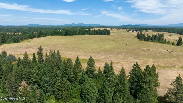 1605 Jasmine Ln, Parcel 14, Weippe, ID 83553
