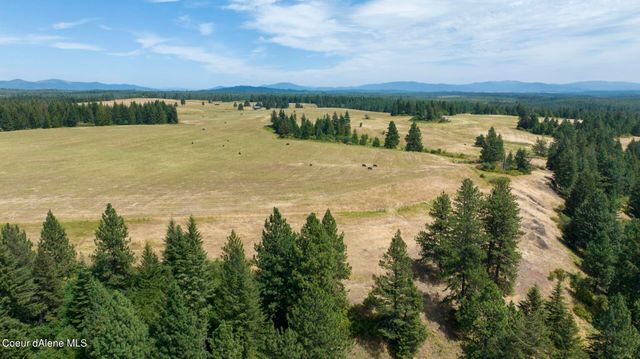 1605 Jasmine Ln, Parcel 14, Weippe, ID 83553