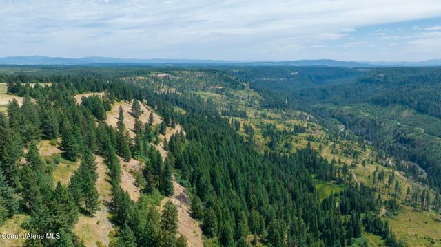 1605 Jasmine Ln, Parcel 14, Weippe, ID 83553
