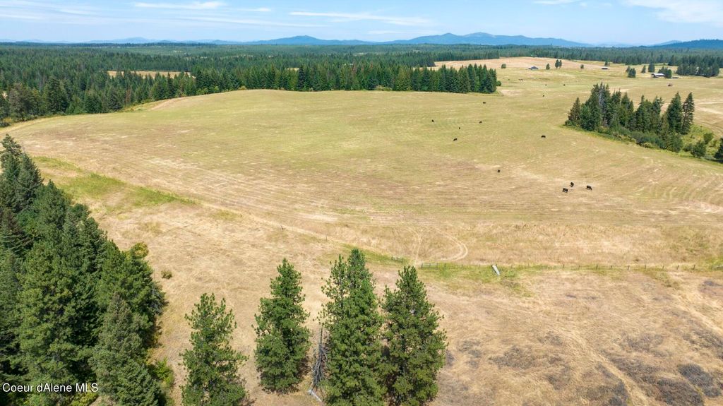 1605 Jasmine Ln, Parcel 14, Weippe, ID 83553