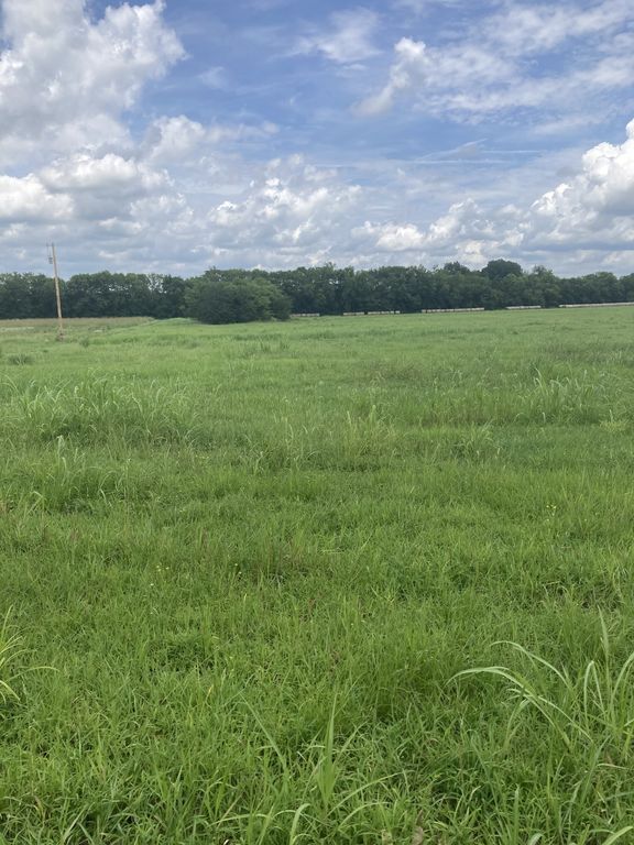 0 Virgil Beasley Road, Chapel Hill, TN 37034