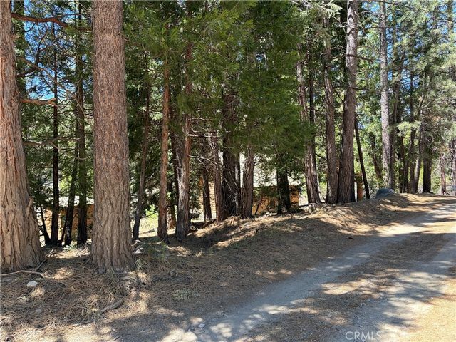 42 South Fork Trail, Angelus Oaks, CA 92305
