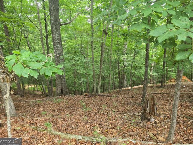 LOT 476 Riverview Drive, Ellijay, GA 30540