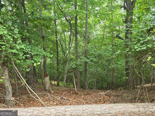 LOT 476 Riverview Drive, Ellijay, GA 30540