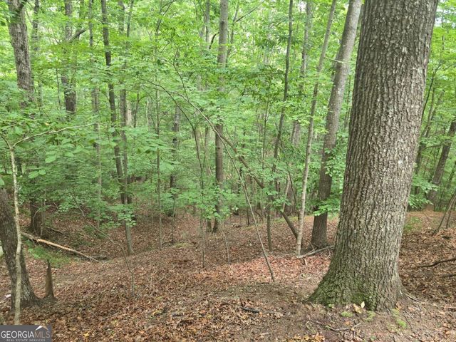 LOT 476 Riverview Drive, Ellijay, GA 30540