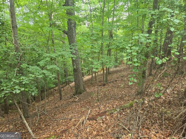LOT 476 Riverview Drive, Ellijay, GA 30540