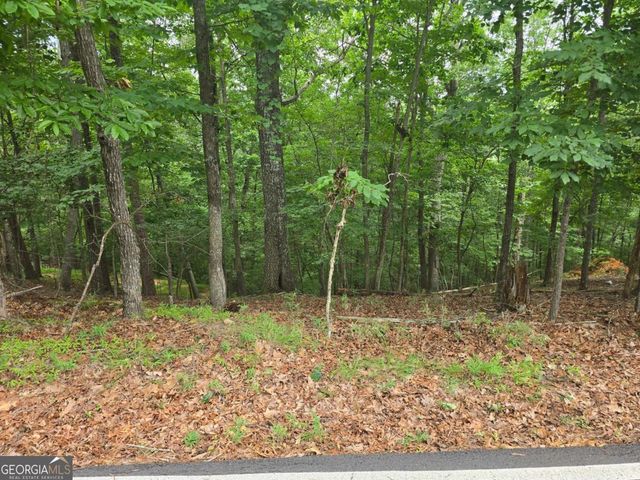 LOT 476 Riverview Drive, Ellijay, GA 30540