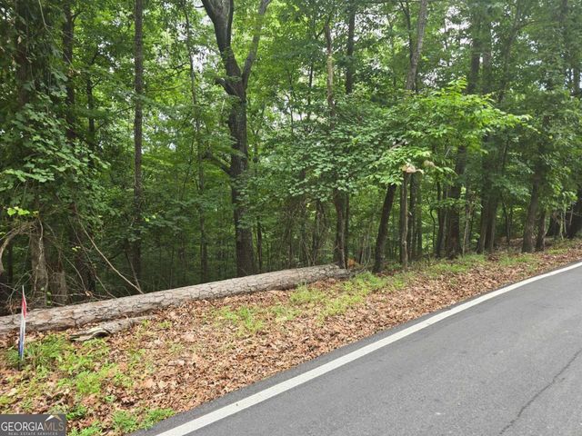 LOT 476 Riverview Drive, Ellijay, GA 30540