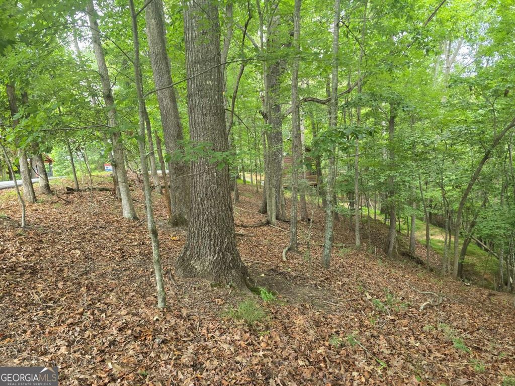 LOT 476 Riverview Drive, Ellijay, GA 30540