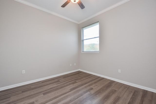 11102 Waxwing Street, Houston, TX 77035