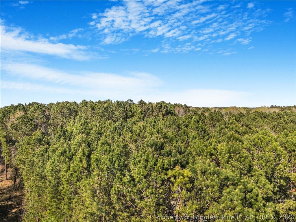 000-000 Nuffield Road, Fayetteville, NC 28312 — photo 10
