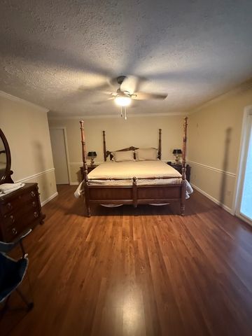 2905 River Road, Mineral Bluff, GA 30559