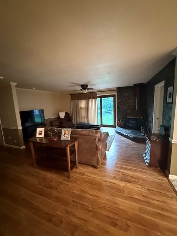 2905 River Road, Mineral Bluff, GA 30559