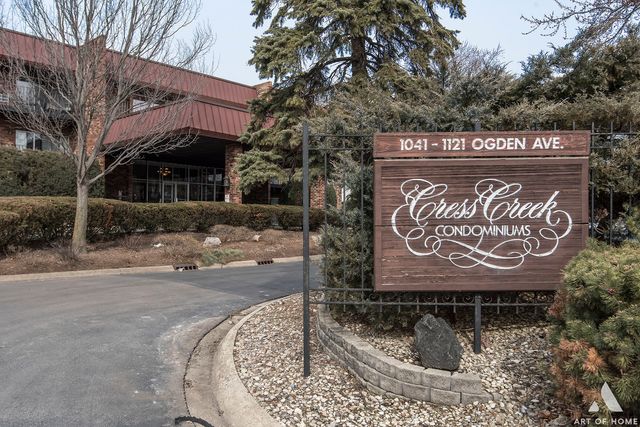 1049 W Ogden Avenue 212, Naperville, IL 60563