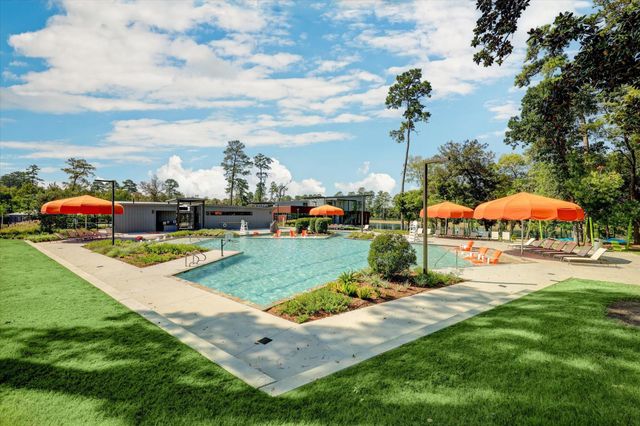 110 Skyshine Court, Conroe, TX 77304