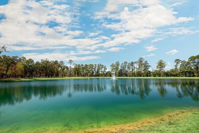 110 Skyshine Court, Conroe, TX 77304