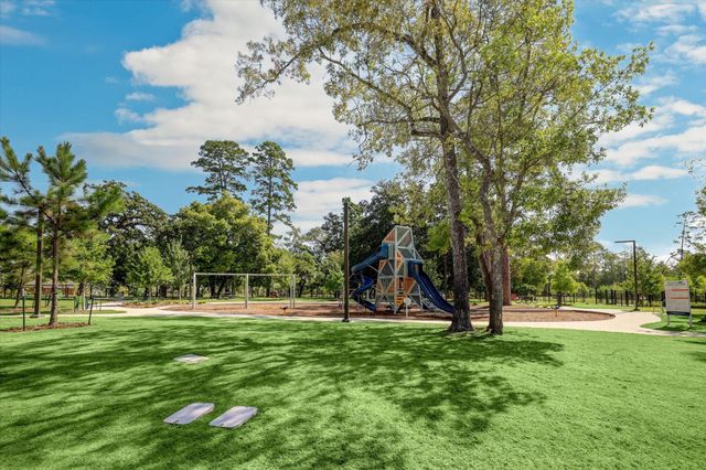 110 Skyshine Court, Conroe, TX 77304