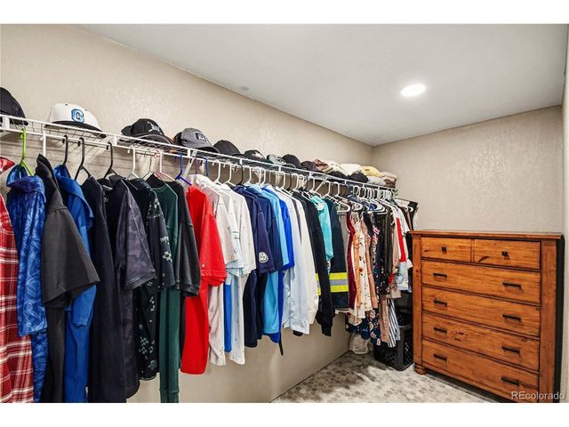 1066 Pinyon Dr, Windsor, CO 80550
