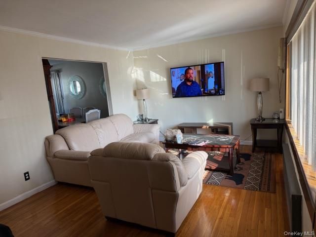 119-39 143rd Street, Jamaica, NY 11436