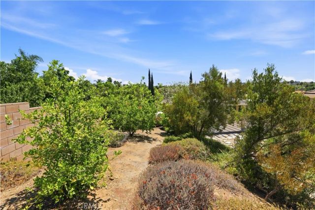 1979 Natalie, Riverside, CA 92506