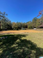 927 25TH STREET N, Pell City, AL 35125