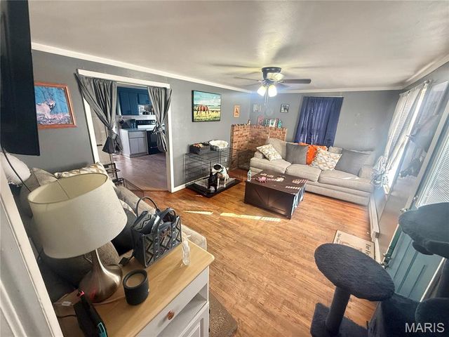 3151 Highway 221, Doe Run, MO 63637