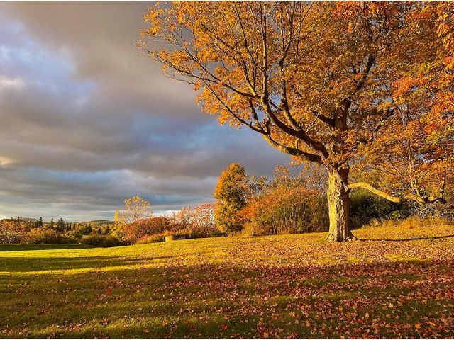 139 Southridge Road, Shelburne, VT 05482