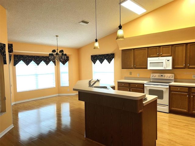 18702 BELLEVISTA COURT, Hudson, FL 34667