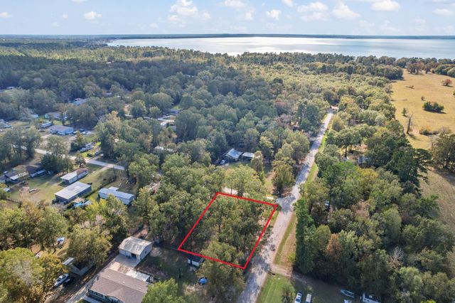 344 Wilcox Drive, Livingston, TX 77351