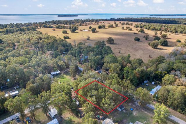 344 Wilcox Drive, Livingston, TX 77351