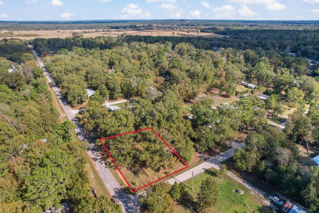 344 Wilcox Drive, Livingston, TX 77351