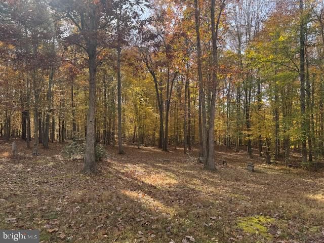 9306 RAPIDAN DR, Fredericksburg, VA 22407