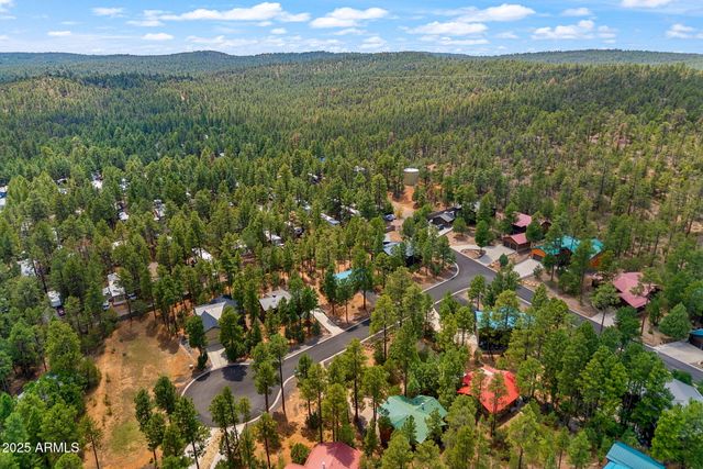 921 E LAUREN Court, Show Low, AZ 85901