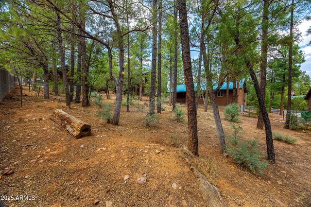 921 E LAUREN Court, Show Low, AZ 85901