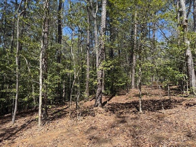 Lot 2 Lynae Lane, Murphy, NC 28906